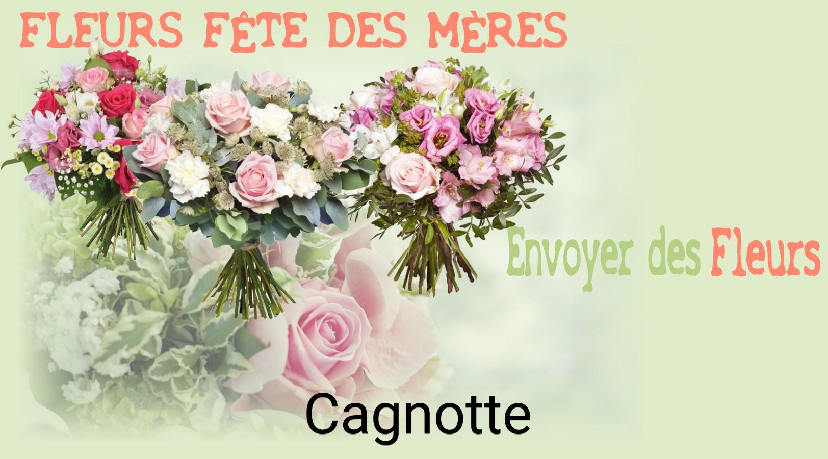 Bouquet de Fête des Mères livré à Cagnotte